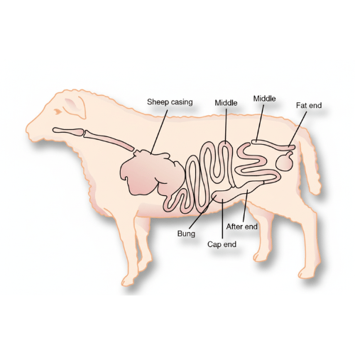 Benefits of Sheep Lamb Casings