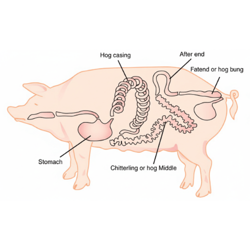 Benefits of choosing Natural Hog Casings